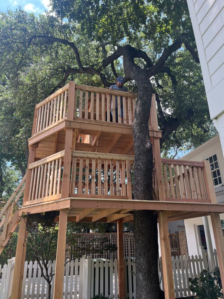 tree_set_9_1 Aradillas Construction Tree House Project